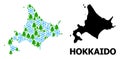 New Year Composition Map of Hokkaido Island with Snow and Fir-Trees