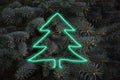 New Year composition - neon luminous christmas tree on natural spruce branches of background, fluorescent creative greeting card