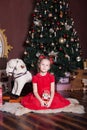 New Year 2020! The concept of Christmas, holidays and childhood. happy little girl in a red dress sits with a wooden toy The Nutcr Royalty Free Stock Photo