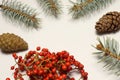 A new year concept is created with pine cones  a coniferous pine tree branch and a plant with red seeds. Royalty Free Stock Photo