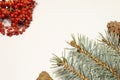 A new year concept is created with pine cones  a coniferous pine tree branch and a plant with red seeds. Royalty Free Stock Photo