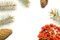 A new year concept is created with pine cones  a coniferous pine tree branch and a plant with red seeds. Royalty Free Stock Photo