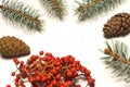 A new year concept is created with pine cones  a coniferous pine tree branch and a plant with red seeds. Royalty Free Stock Photo