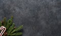 New year concept. Fir and candy cane on a green concrete background. View from above Royalty Free Stock Photo