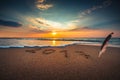 New Year 2017 concept on the sea beach Royalty Free Stock Photo