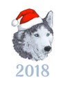 New Year 2018 congratulation card. Husky dog in Santa claus hat. Portrait Engraving colorful hand drawing image isolated Royalty Free Stock Photo