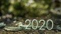 2020 3d rendering.