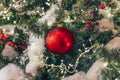 New Year decoration balls on a snowy branch. Christmas tree toy on the branches of spruce covered with snow. shiny balloon toy on Royalty Free Stock Photo