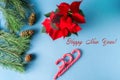 New year decoration and greeting card on blue background with poinsettia flower and candy cane Royalty Free Stock Photo