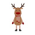 New year deer in striped scarf isolated on white background