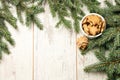NewYear. Delicious ginger biscuits. Fir branch. Light background. Royalty Free Stock Photo