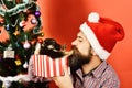 New year of Dog concept. Doggy pushes Santa away Royalty Free Stock Photo