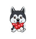 NEW year doggy. Happy Dog cartoon. christmas dog with red scarf. Cute puppies. Royalty Free Stock Photo