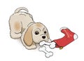 New Year Eve Sock Present for Cocker Spaniel Puppy. Cartoon Fluffy Cute Character