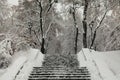 Stairs on a park alley. Winter park covered with snow Royalty Free Stock Photo