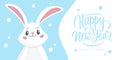 New Year festive banner with cute rabbit and handwritten holiday greetings Happy New Year. 2023 year of the rabbit.