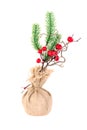 New year fir branch  in a sackcloth  bag. Christmas holidays decor  Isolated  on a white background Royalty Free Stock Photo