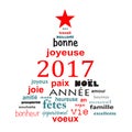 2017 new year french word cloud greeting card in shape of a christmas tree Royalty Free Stock Photo