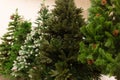 New Year green artificial spruces, sale
