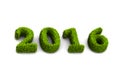 2016 new year green grassed concept isolated on white background Royalty Free Stock Photo