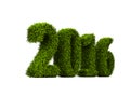 2016 new year green grassed concept isolated on white background Royalty Free Stock Photo