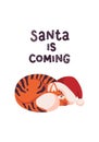 New year greeting card with cute tiger. Cat sleep in Santa hat. Chinese new year symbol. Text lettering Santa is coming.