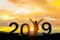 2019 new year happy for silhouette girl stand Royalty Free Stock Photo