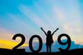2019 new year happy for silhouette Royalty Free Stock Photo