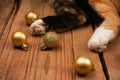 New Year holiday background. A cat lies on a wooden background. Christmas cat with Christmas balls and decorations Royalty Free Stock Photo