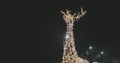 new year illumination of deer in the evening