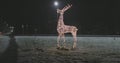 new year illumination of deer in the evening