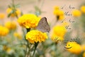 New year Inspirational motivational quote with nature background. A new year, A new your. Welcome 2020 with smiling face sign.