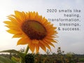 New Year inspirational quote - 2020 smells like healing, transformation, blessings, and success. With background of beautiful.