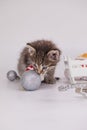 New Year kitten playing with a Christmas tree toy Royalty Free Stock Photo