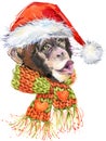 New Year monkey Santa Clause graphics, monkey chimpanzee illustration