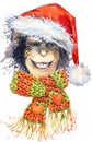 New Year monkey Santa Clause graphics, monkey chimpanzee illustration