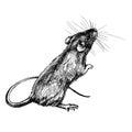 New year mouse, rat clip art graphics linner Royalty Free Stock Photo