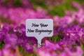 New Year New Beginnings Signboard. Royalty Free Stock Photo