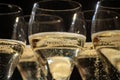 New year party, small bubbles of brut champagne cava or prosecco wine in tulip glasses with garland lights on background