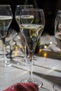 New year party, small bubbles of brut champagne cava or prosecco wine in tulip glasses with garland lights on background