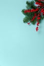 New Year pattern Christmas tree branch and bunches of rowan on blue background Royalty Free Stock Photo