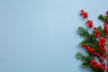 New Year pattern Christmas tree branch and bunches of rowan on blue background Royalty Free Stock Photo