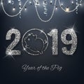 New year of the pig 2019 silver glitter design on red background