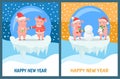 New Year Piglets Couples, Gift Box and Snowman