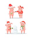 New Year Piglets Couples, Gift Box and Snowman