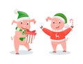 New Year Piglets in Santa Hats, Winter Holidays