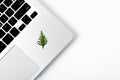 New year pine tree laying on laptop. Space for your text. Royalty Free Stock Photo
