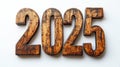 2025 New Year Rustic Metallic Numbers on White Background