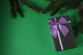 New year`s Christmas background a branch of spruce pine trees on a green background and a gift box black gift box with lilac purpl Royalty Free Stock Photo