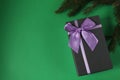 New year`s Christmas background a branch of spruce pine trees on a green background and a gift box black gift box with lilac purpl Royalty Free Stock Photo